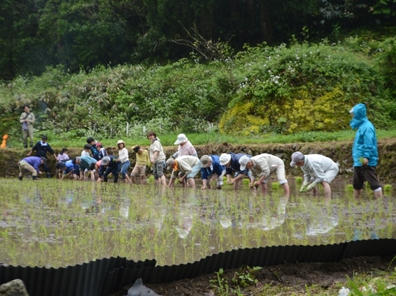 佐治町福園地区　過去の活動状況の画像1