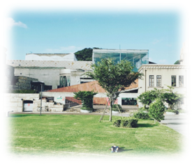 『Kari巣mai』（かりずまい）のご案内の画像6