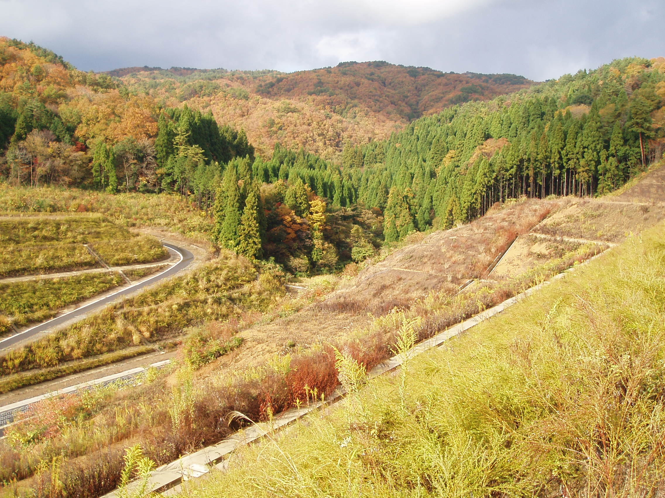 殿ダム古神護広場の画像