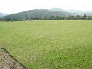 鳥取市円通寺の画像