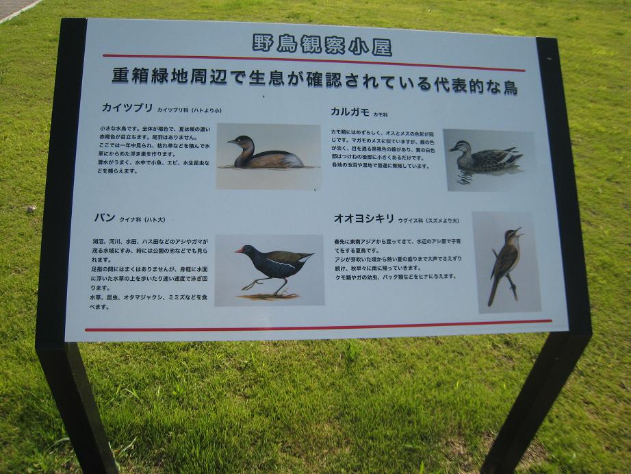 野鳥観察小屋の画像3