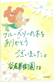 ブルーベリーの木をありがとうございましたの画像