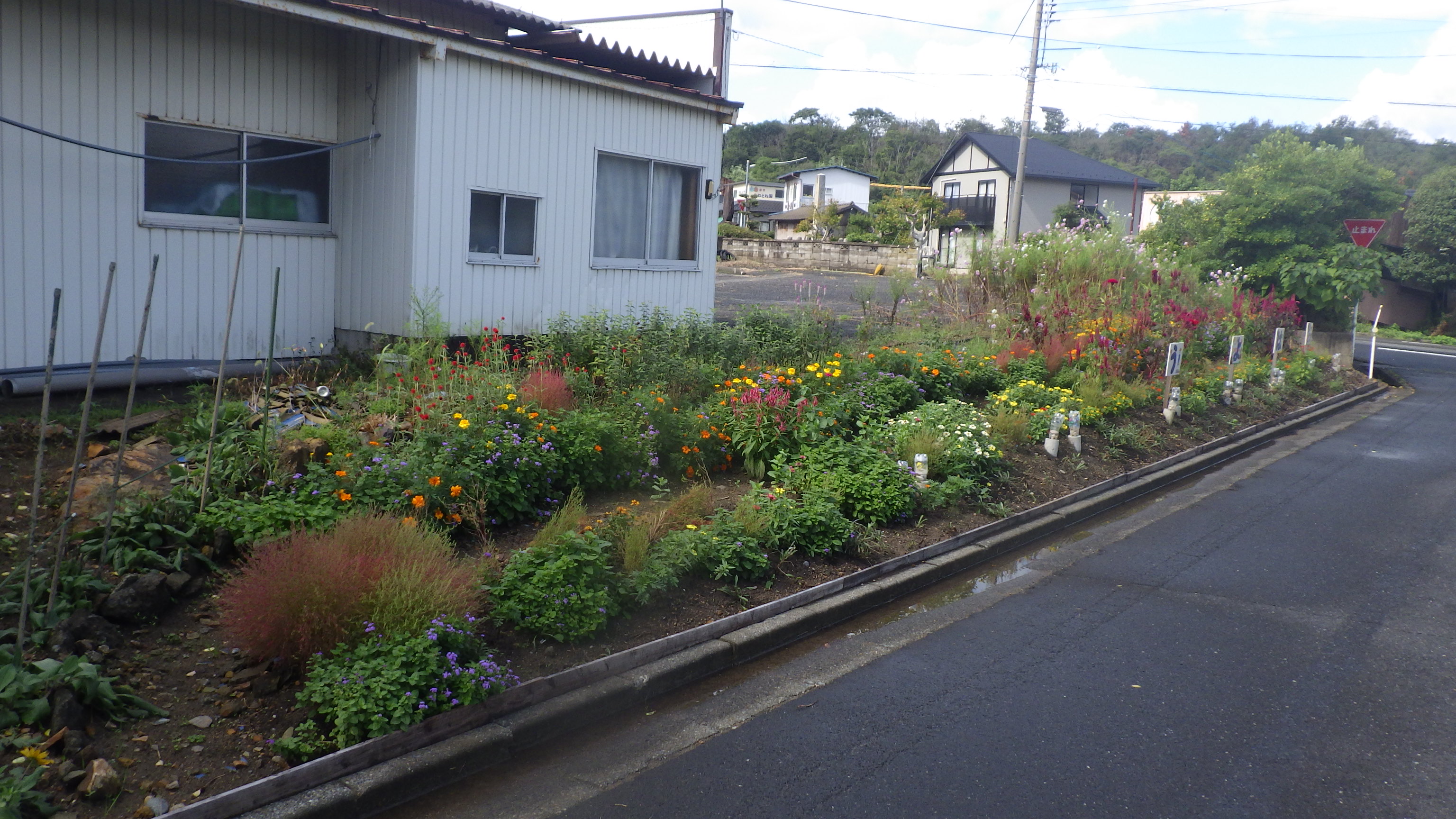 最優秀賞（福部町浜湯山花だんチーム）の画像1