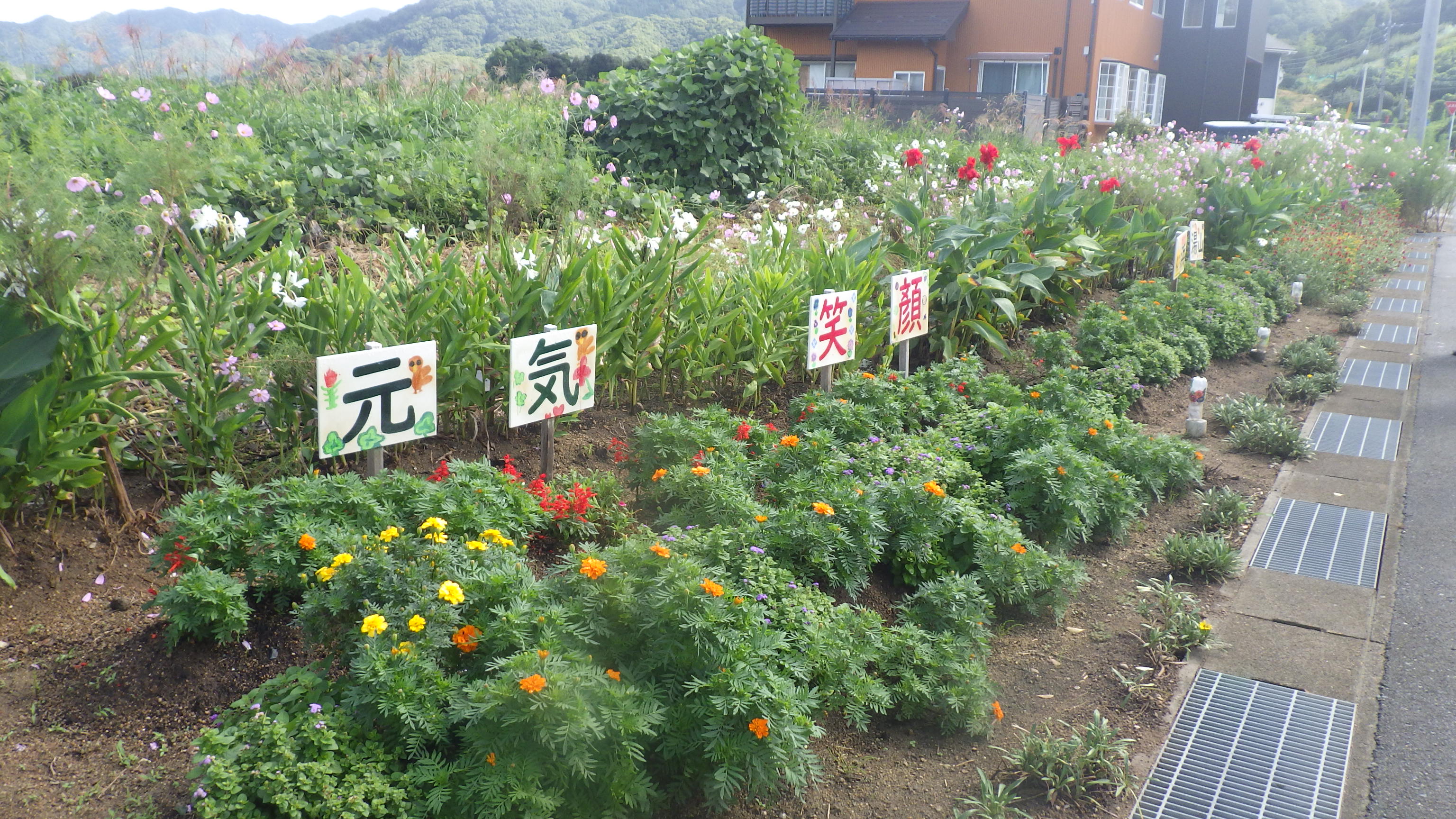 最優秀賞（福部町浜湯山花だんチーム）の画像2