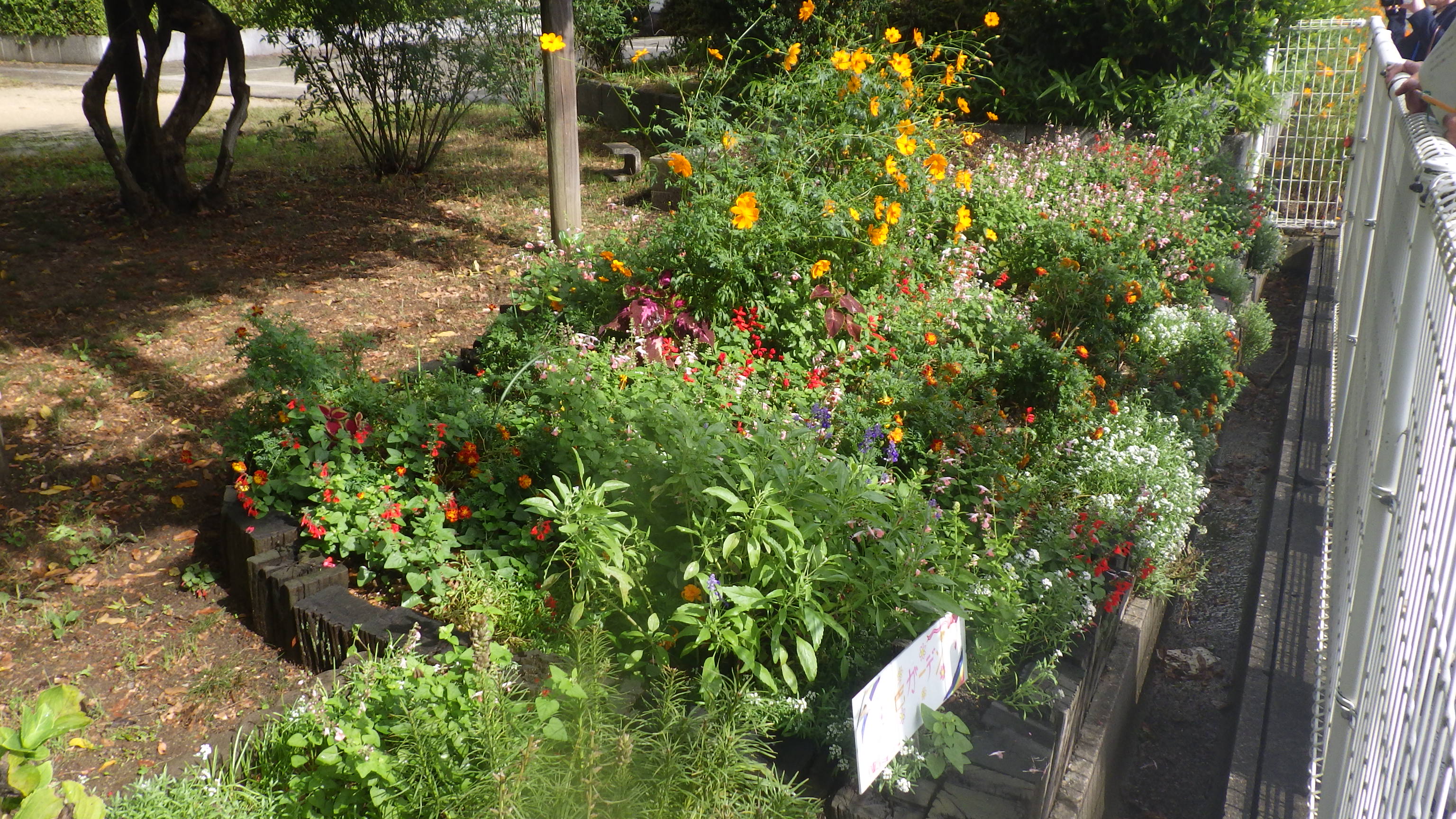 優秀賞（いわくら夢咲くガーデン）の画像