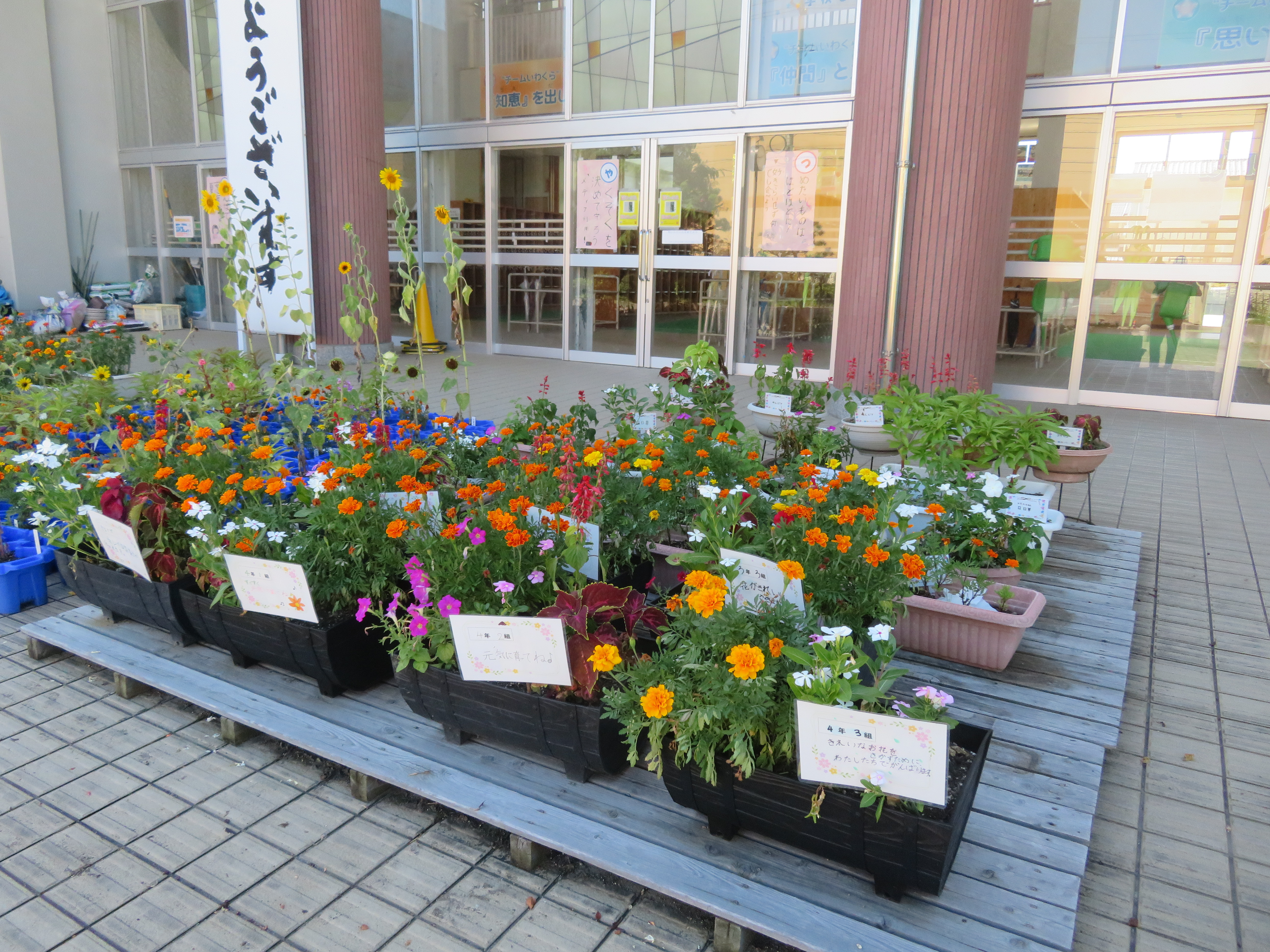 最優秀賞（鳥取市立岩倉小学校）の画像2