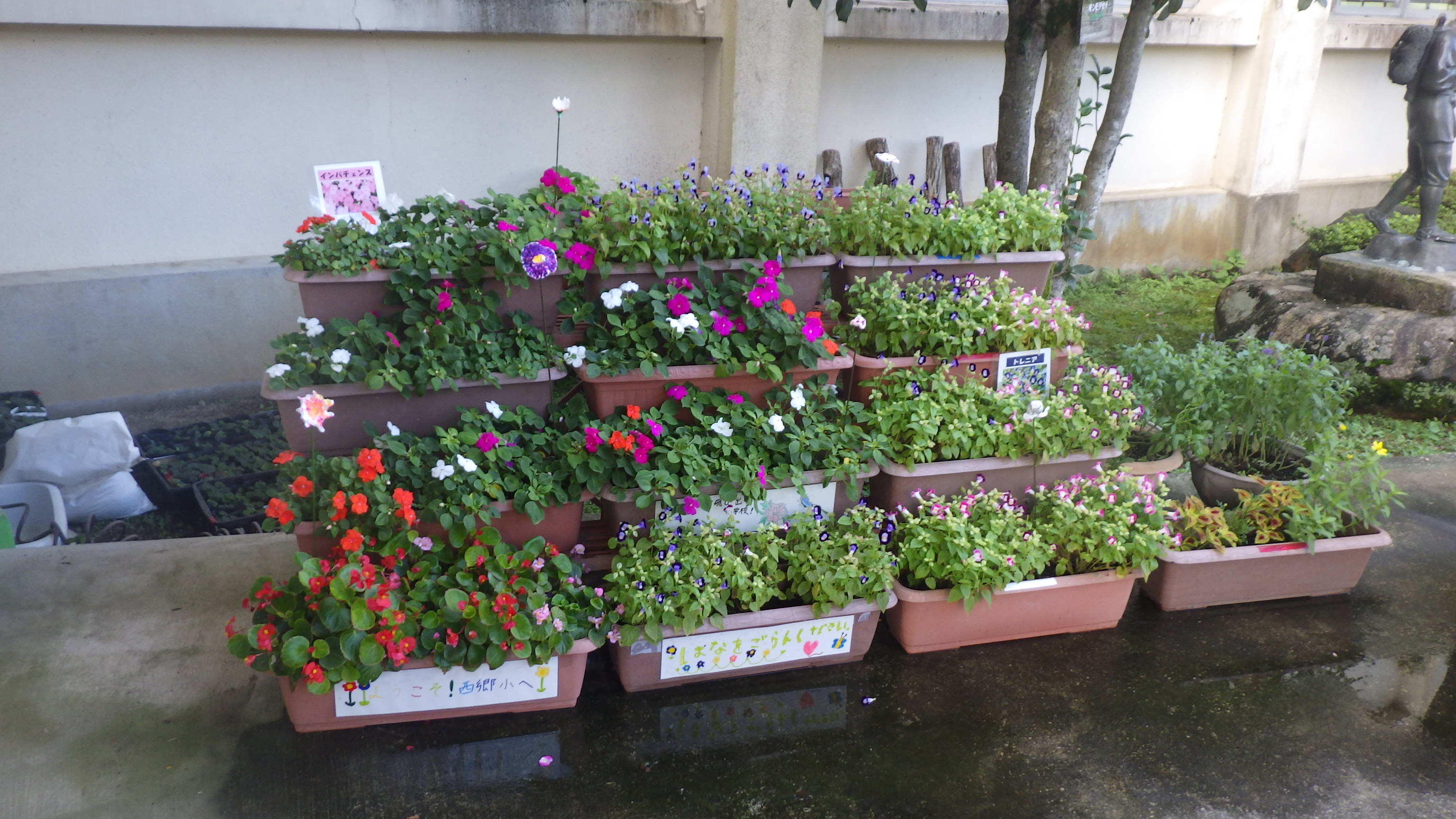 優秀賞（鳥取市立西郷小学校）の画像