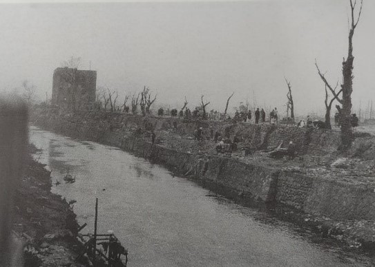 鳥取大火後の桜土手の画像