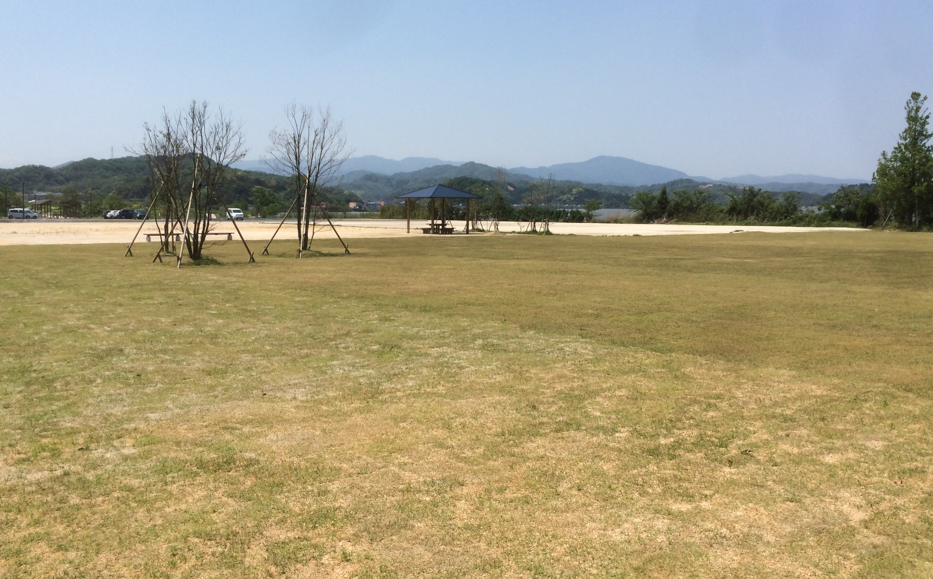 湖山池公園お花畑ゾーン（湖山池オアシスパーク）の画像