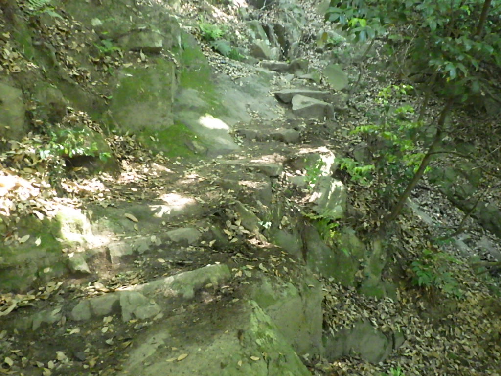 久松山登山道についての画像1