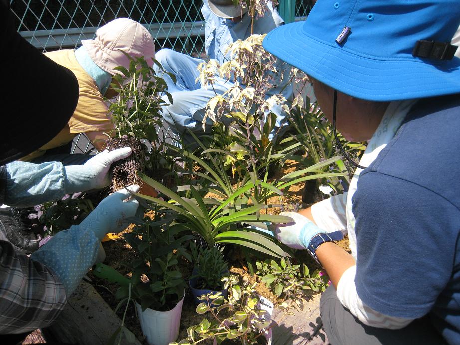 設置・維持管理作業の様子の画像2