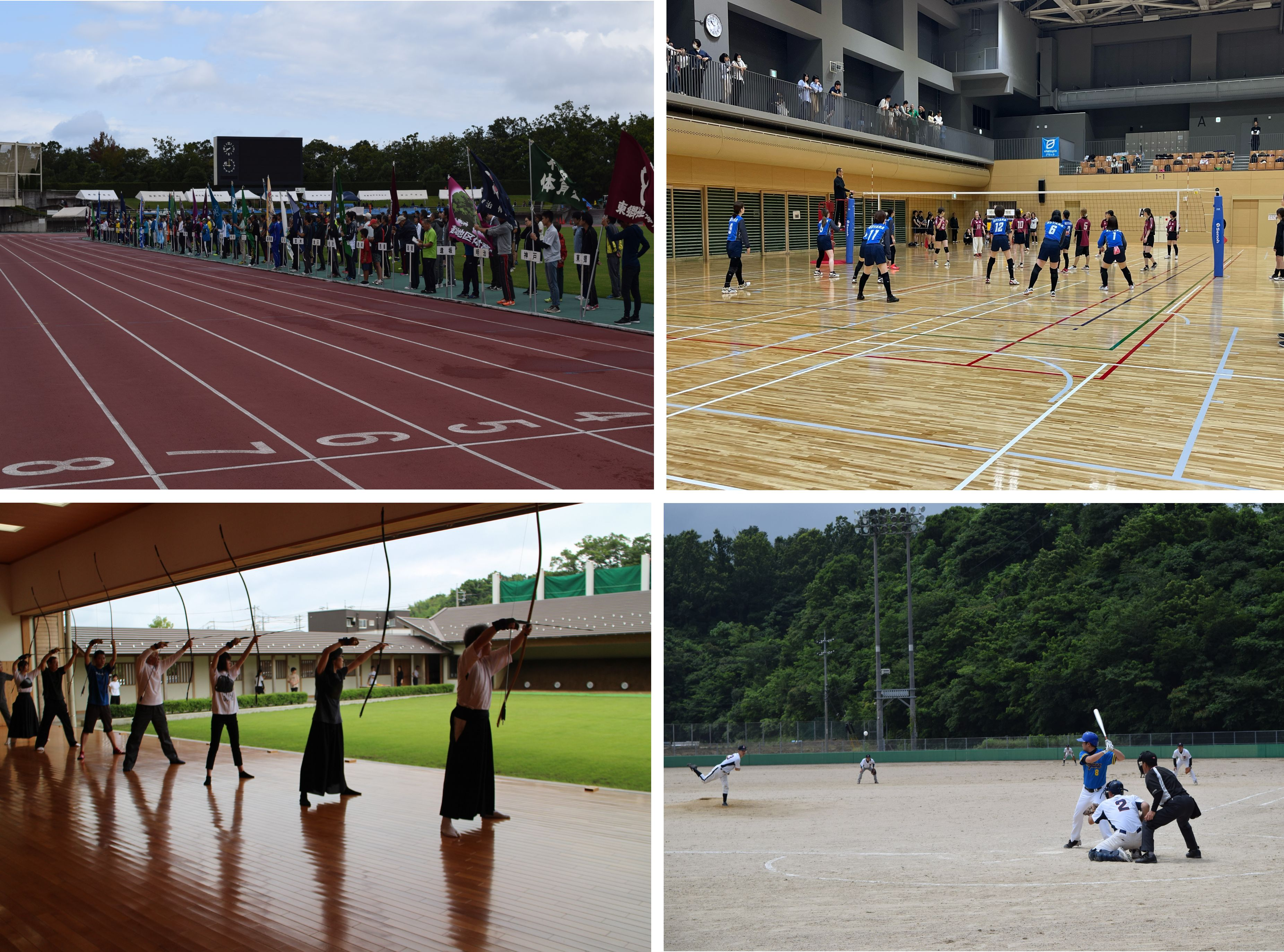令和7年度　第68回鳥取市民スポーツ大会（旧鳥取市民体育祭）の画像