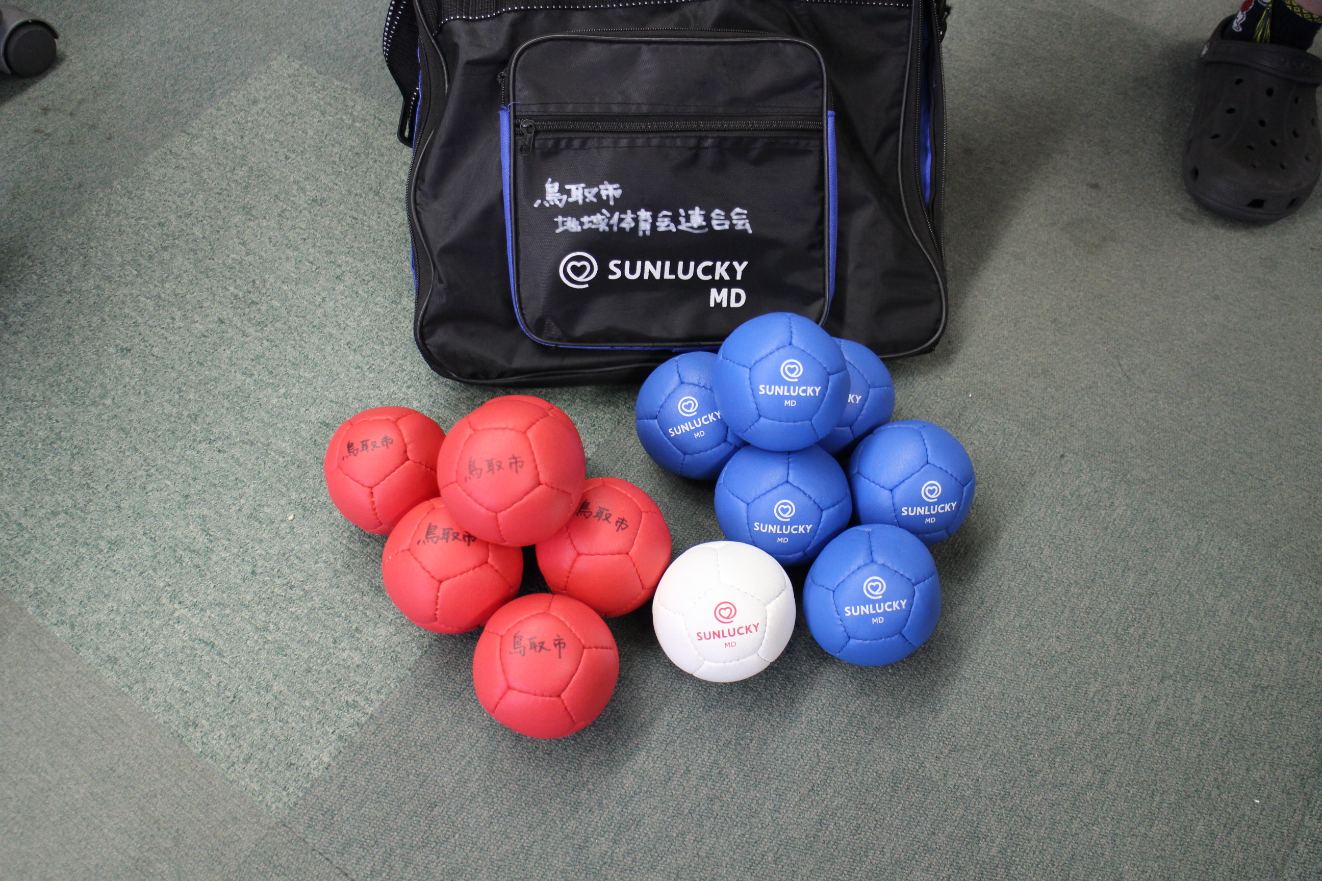 ボッチャの画像1