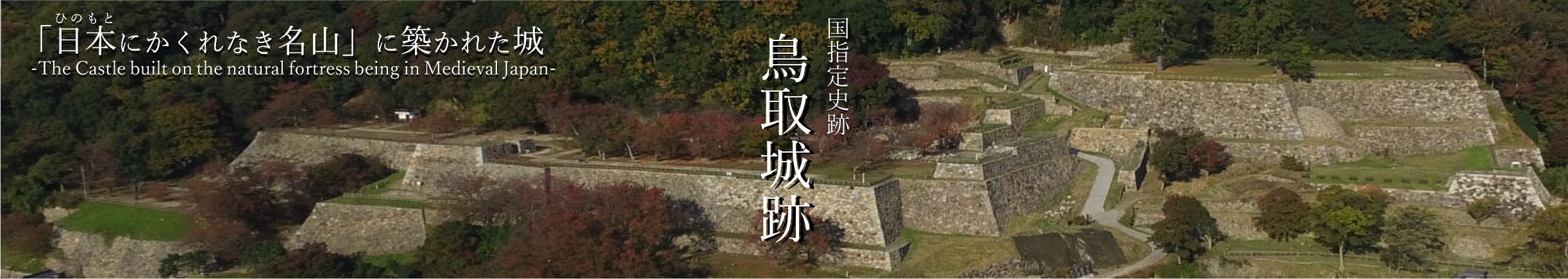 史跡鳥取城跡附太閤ヶ平の画像