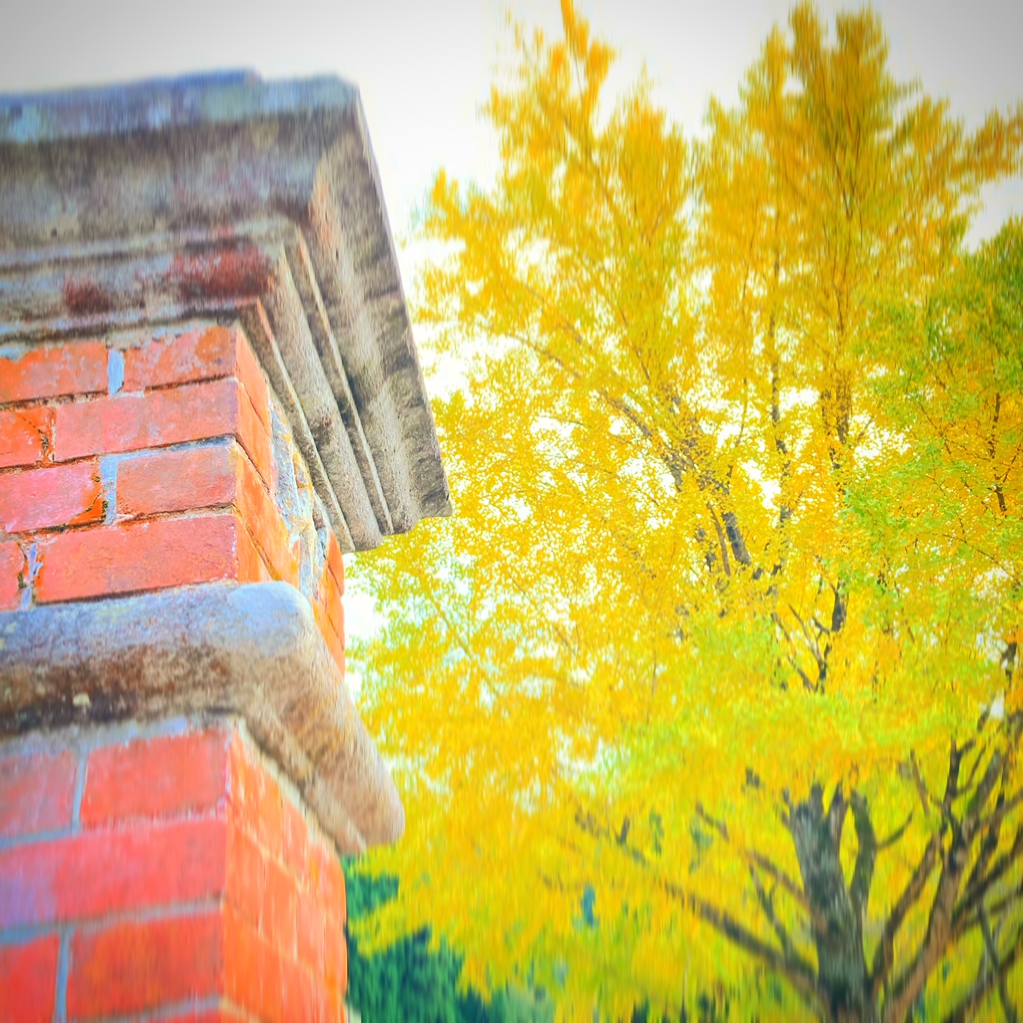 【イベント1】 馬で文化遺産めぐりの画像1