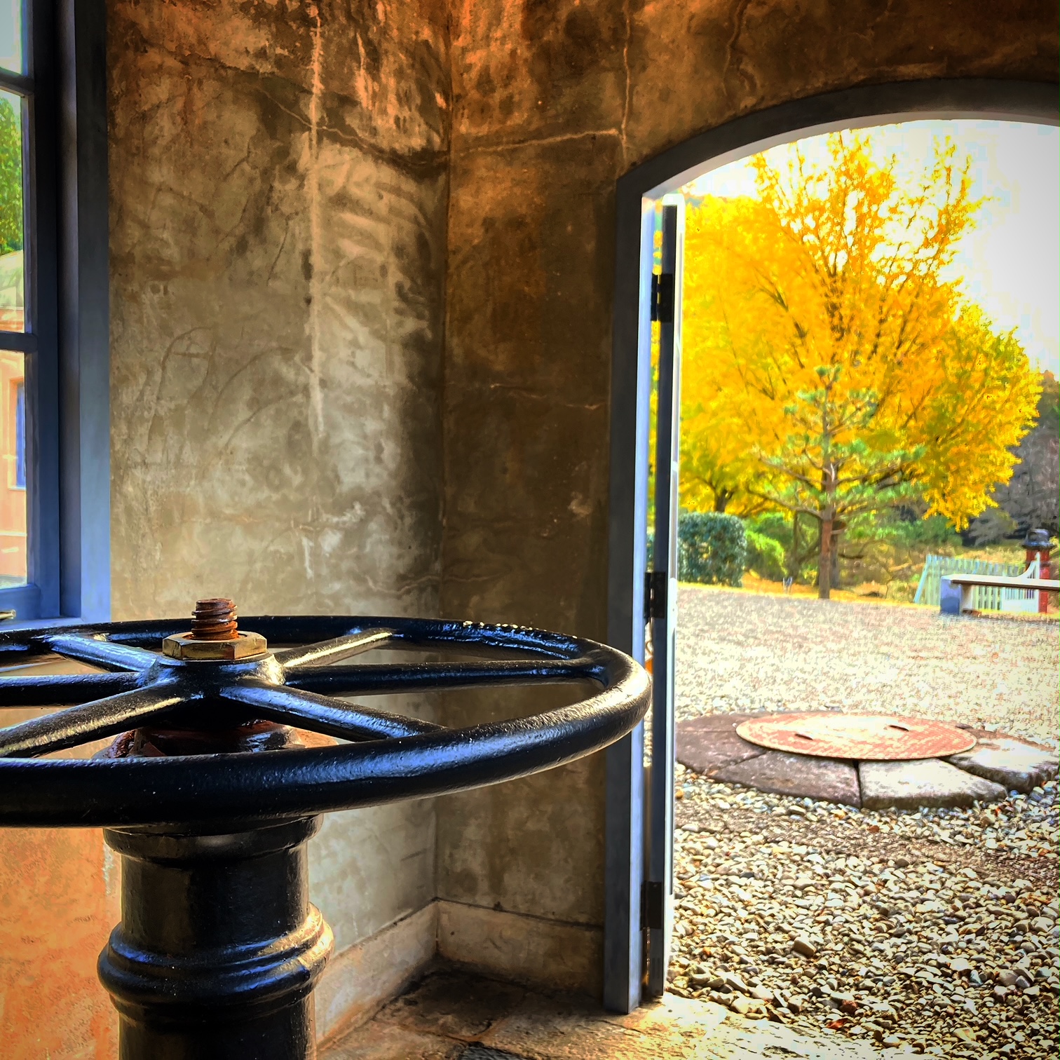 【イベント1】 馬で文化遺産めぐりの画像5