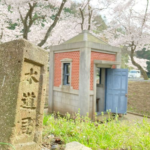鳥取の桜の名所、美歎(みたに)水源地の画像5