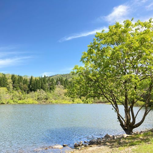 鳥取の新緑の撮影スポット、美歎（みたに）水源地の画像1