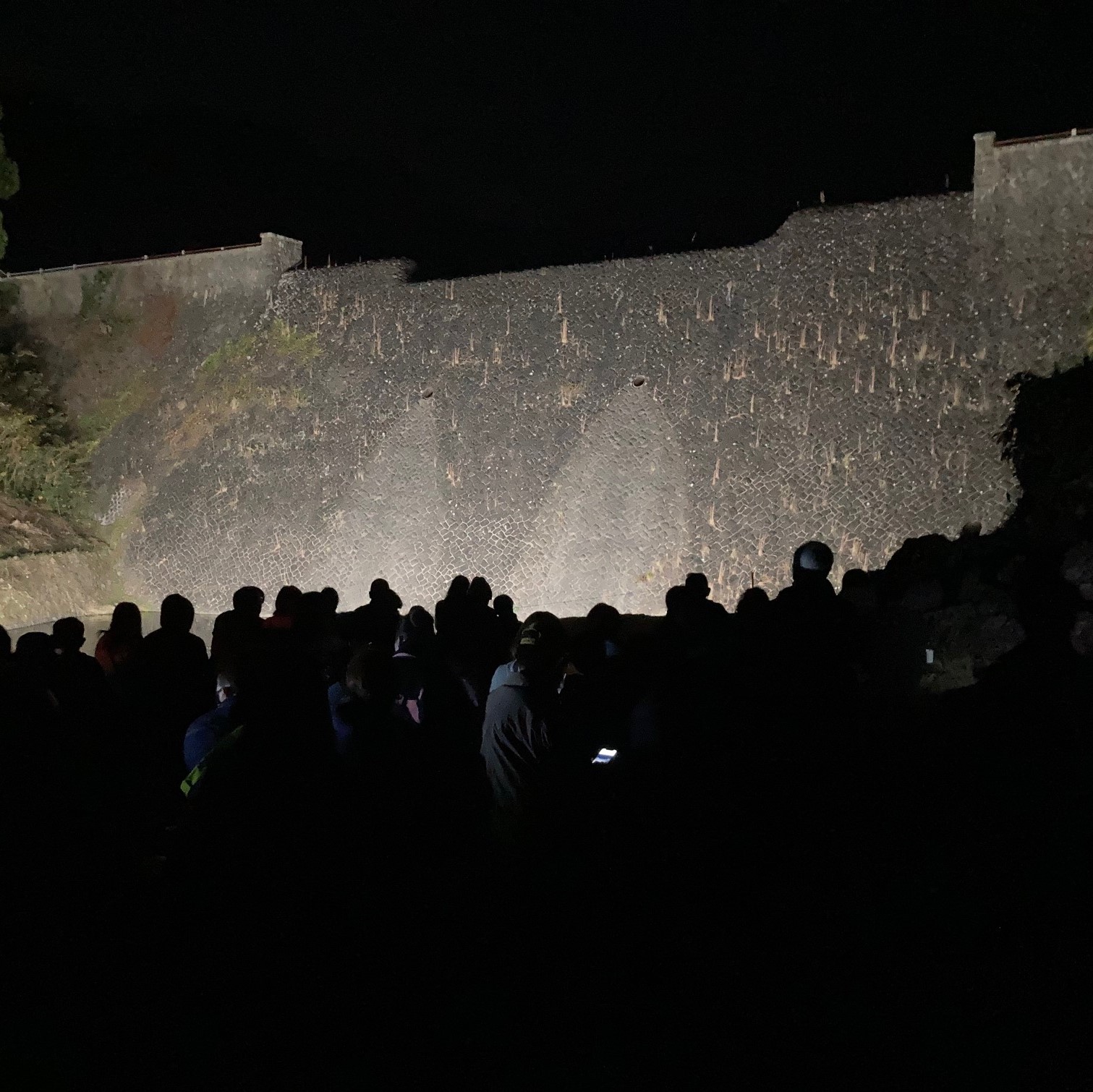 美歎ダムプロジェクションマッピングの画像1