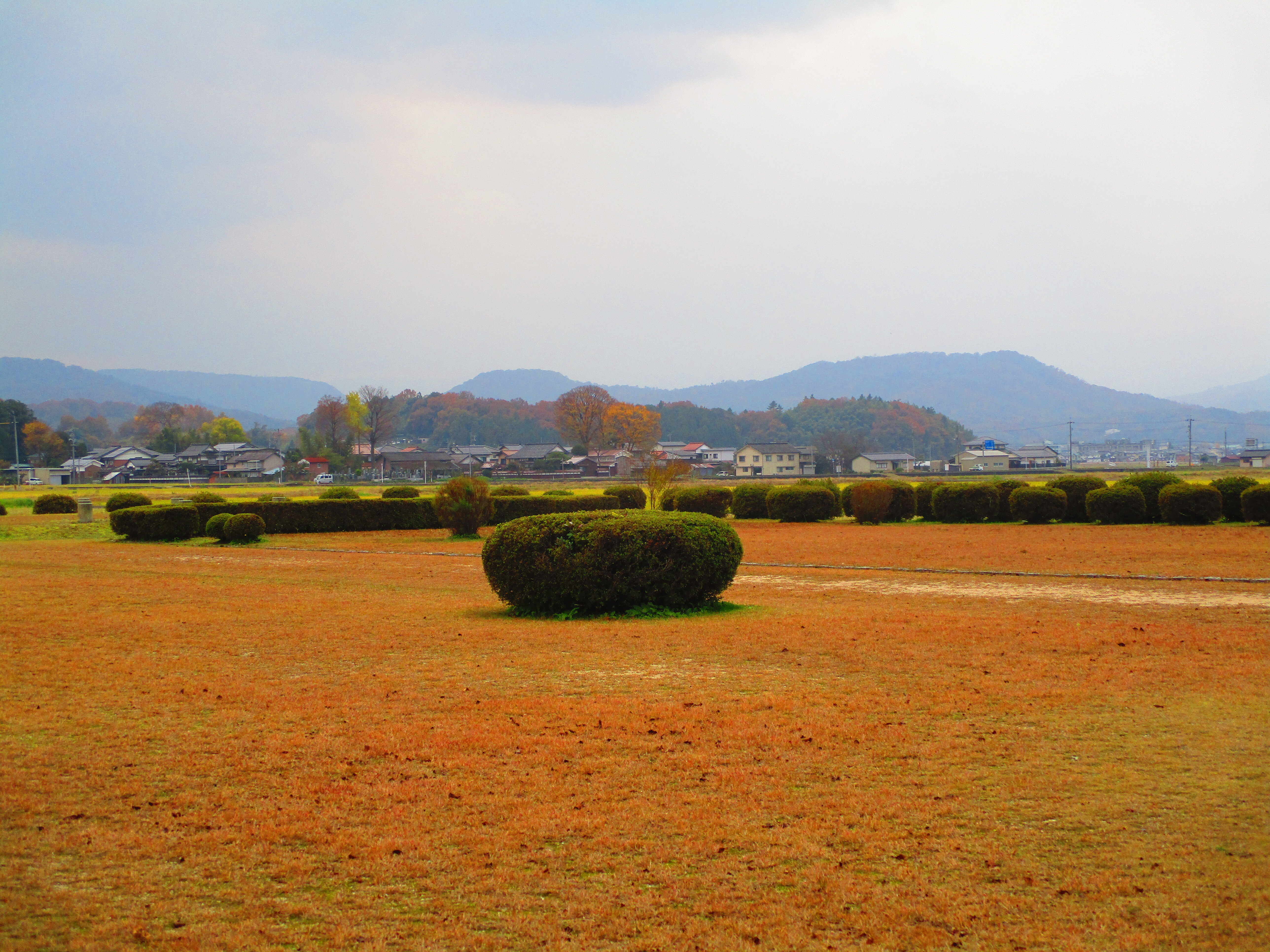「紅葉色の広場－万葉歌人大伴家持、国守赴任の因幡国庁跡－」の画像