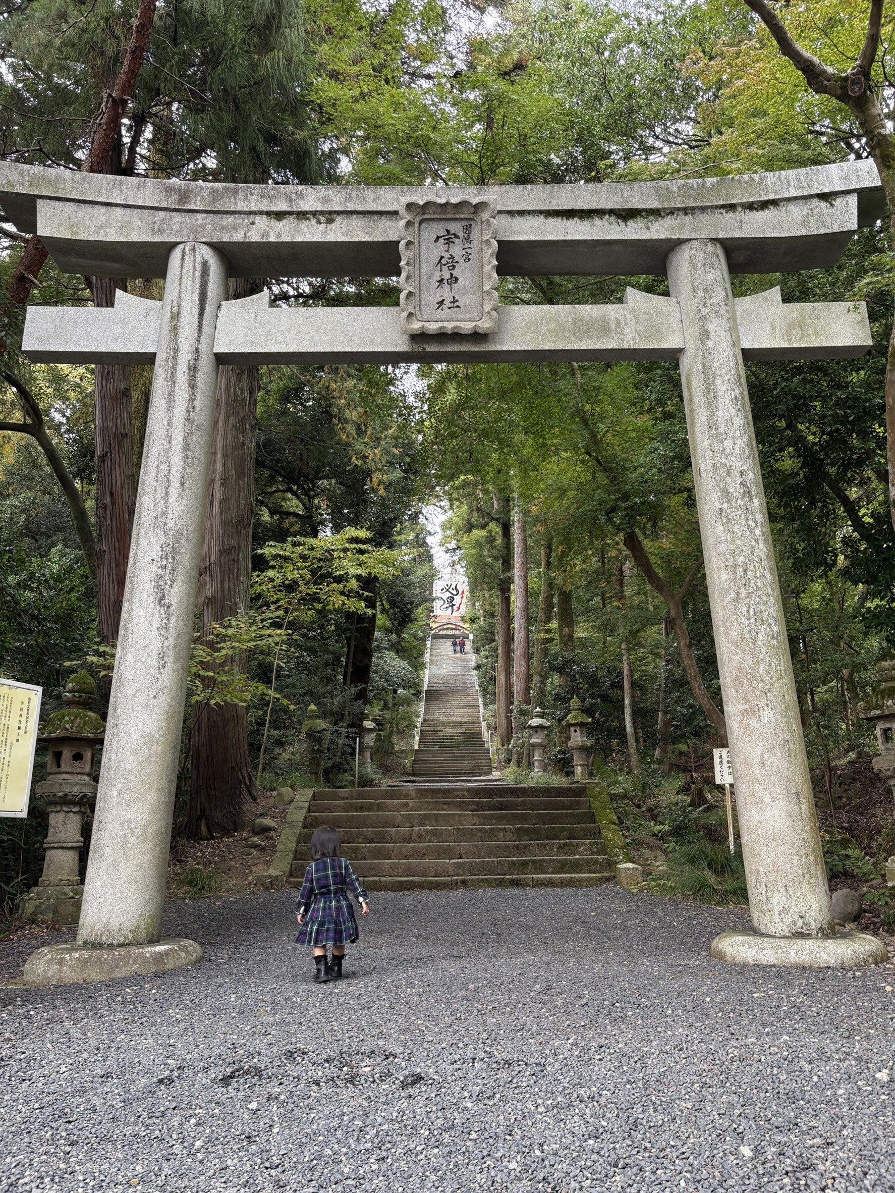 「氏神さまにごあいさつ」の画像