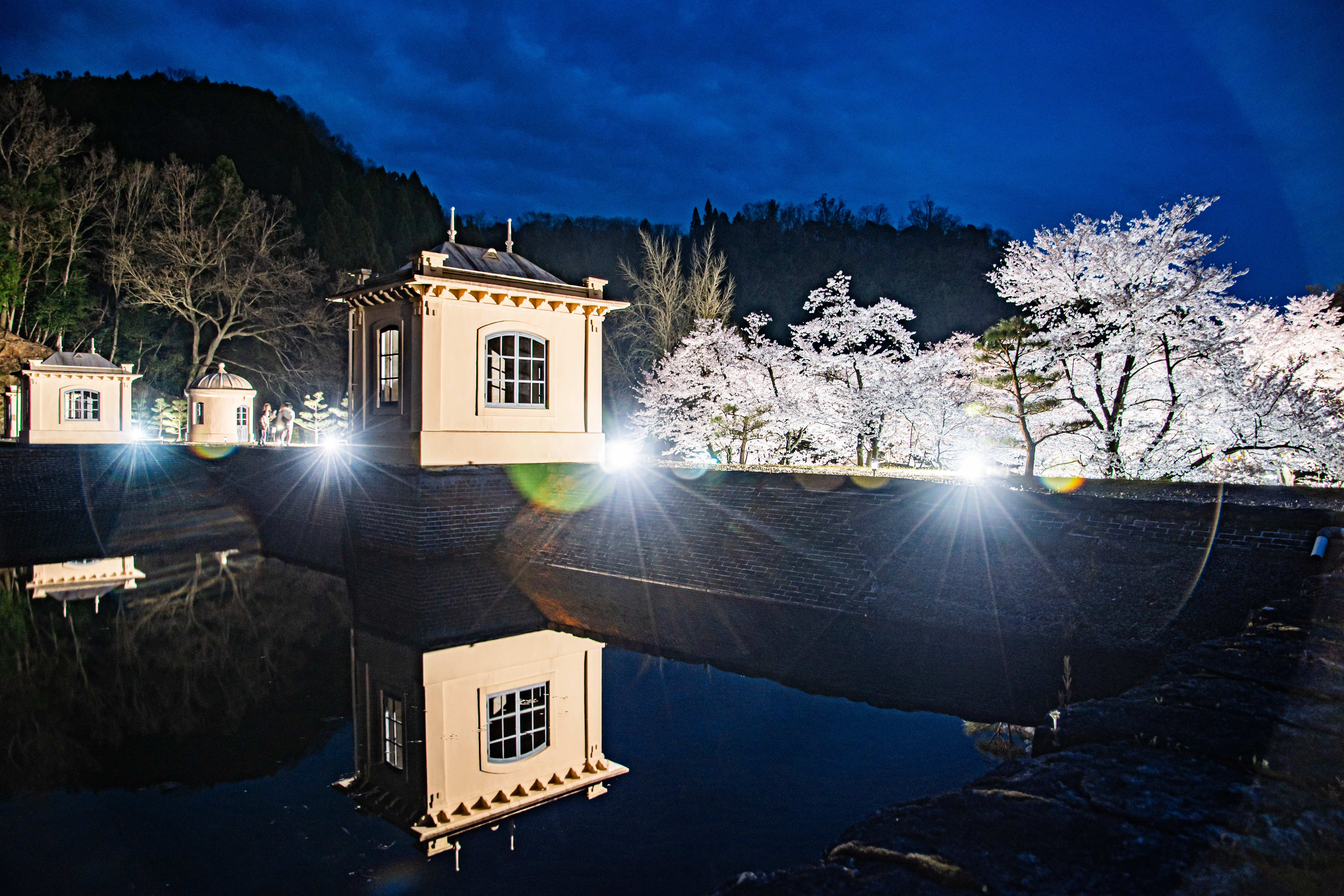 「美しき春の夜」の画像