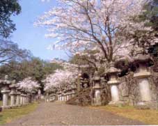 池田家墓所の画像1