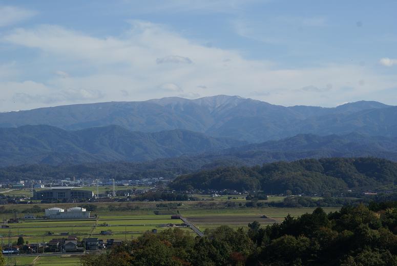 左：バードスタジアムの画像　