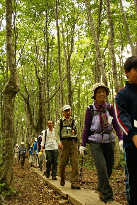 登山途中 現れる　『 杉 』の巨木の画像1