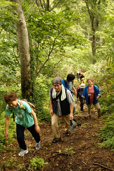 登山途中 現れる　『 杉 』の巨木の画像2