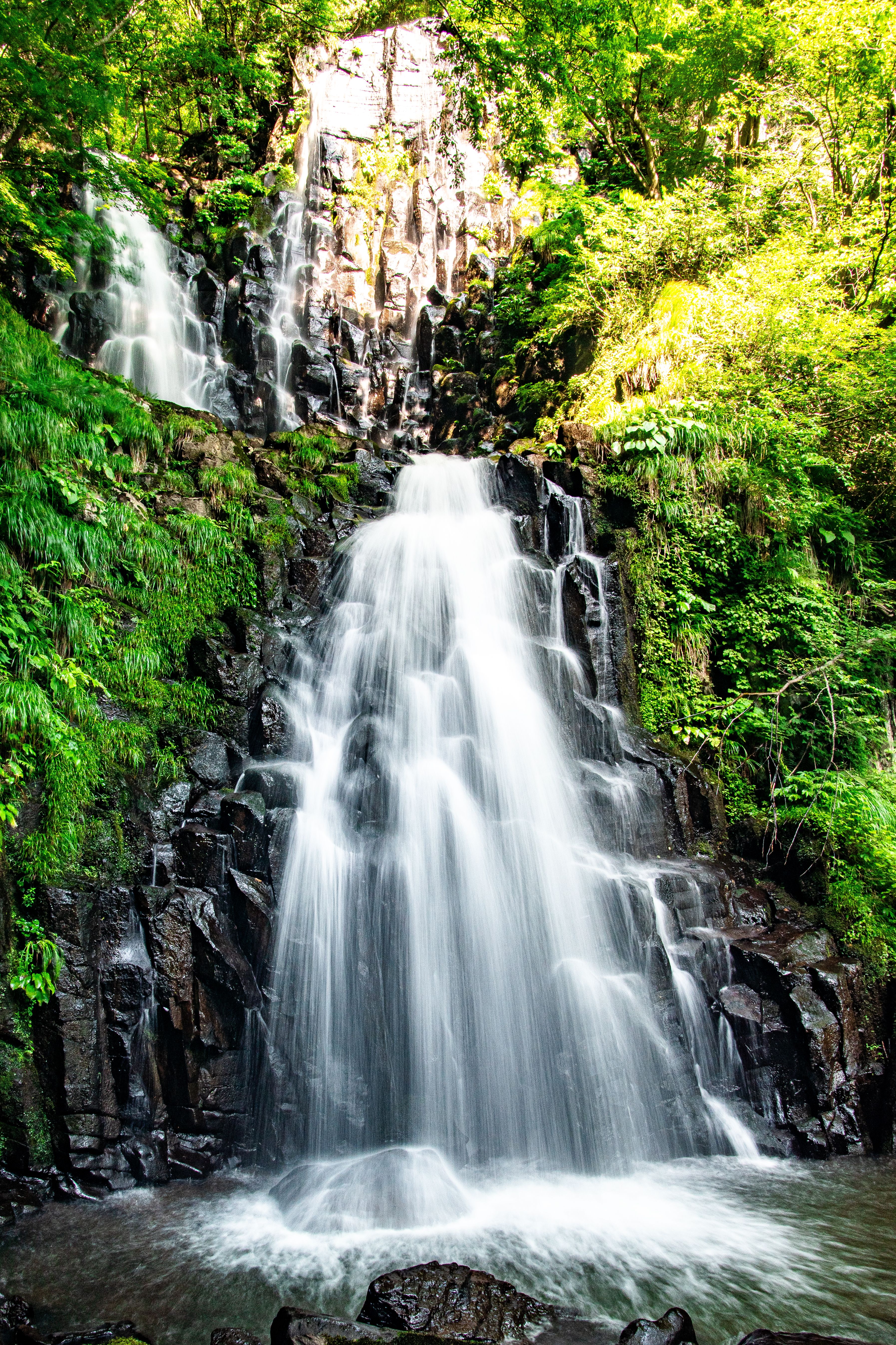 涼を求めての画像
