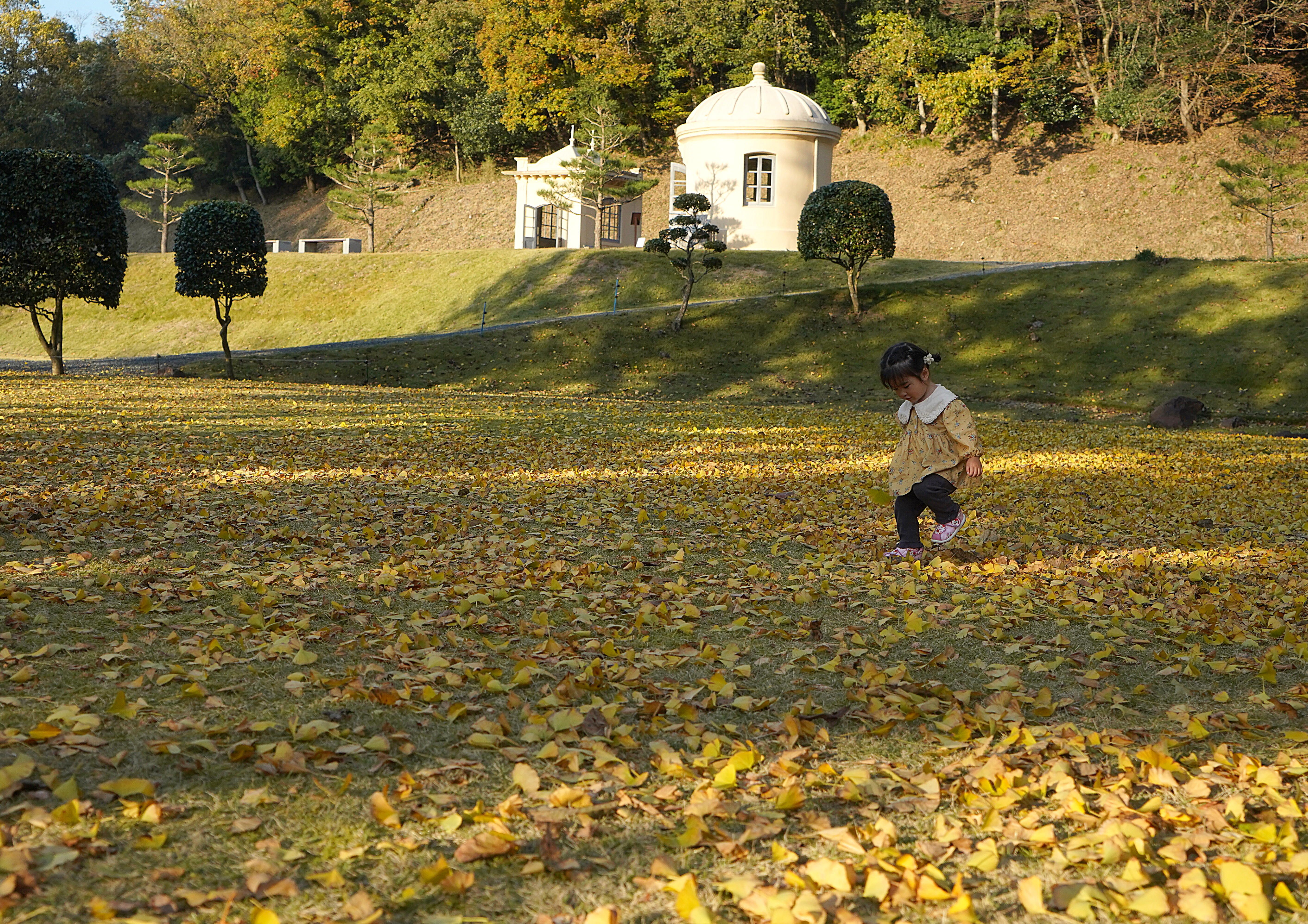 黄金の広場の画像