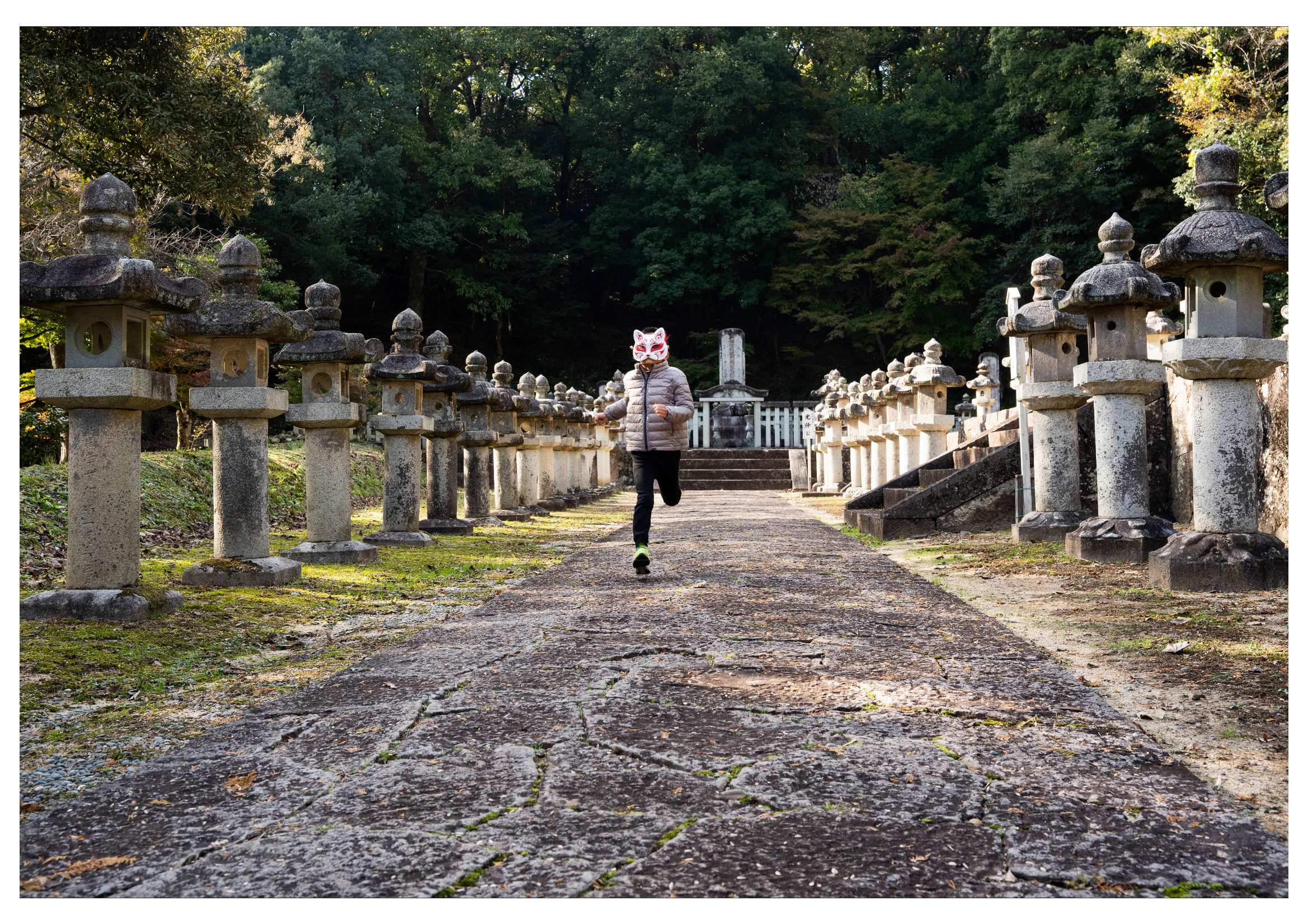 狐現れるの画像