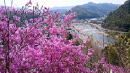 愛宕山（あたごさん）公園の画像