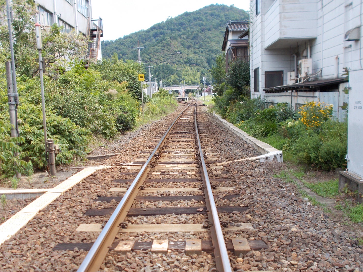 千里先の画像
