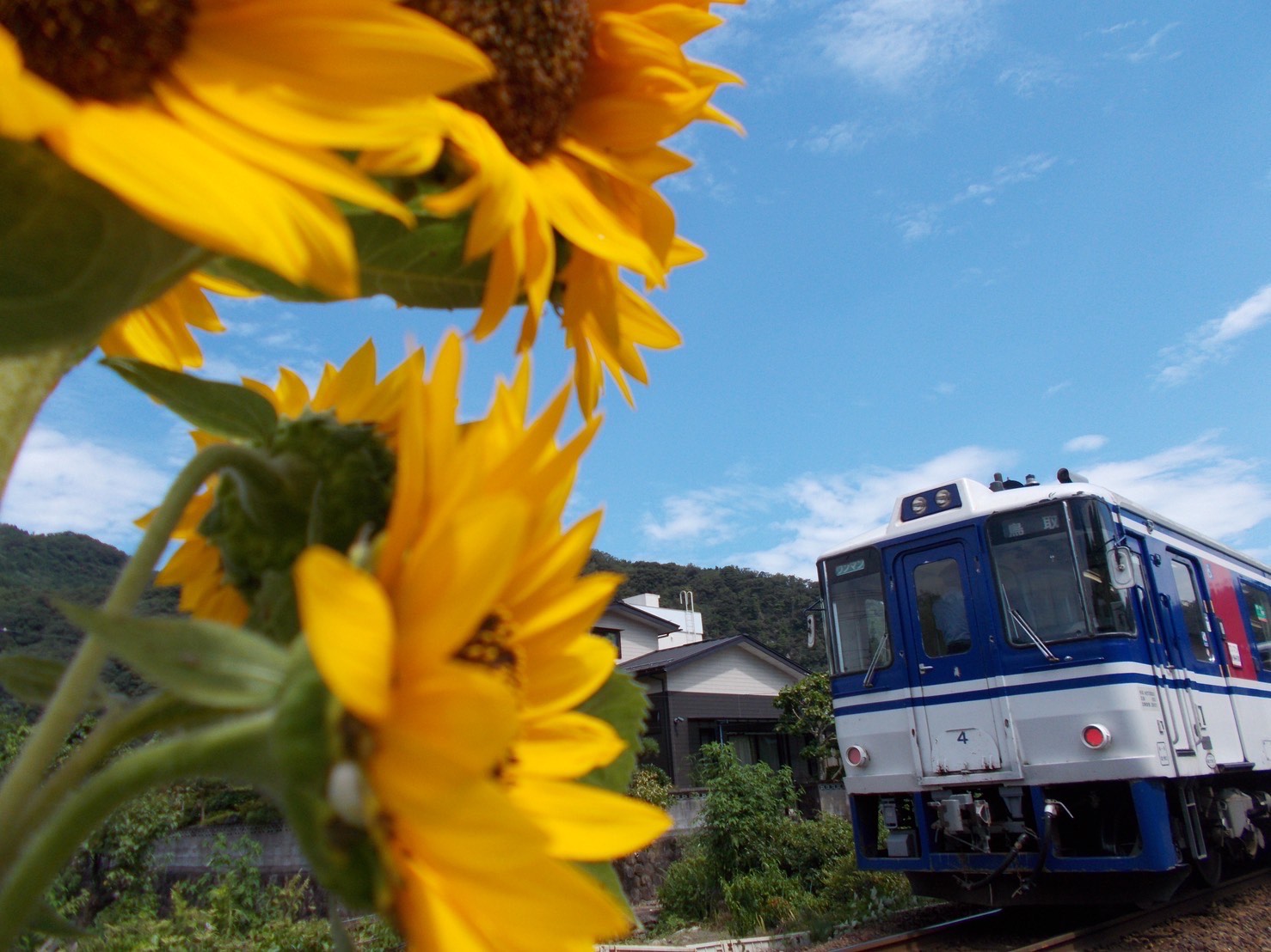 用瀬「夏」突入！の画像