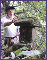 神蔵（石祠）の画像