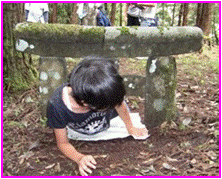 本殿（小鳥居、跡地、板碑、三重塔）　の画像1