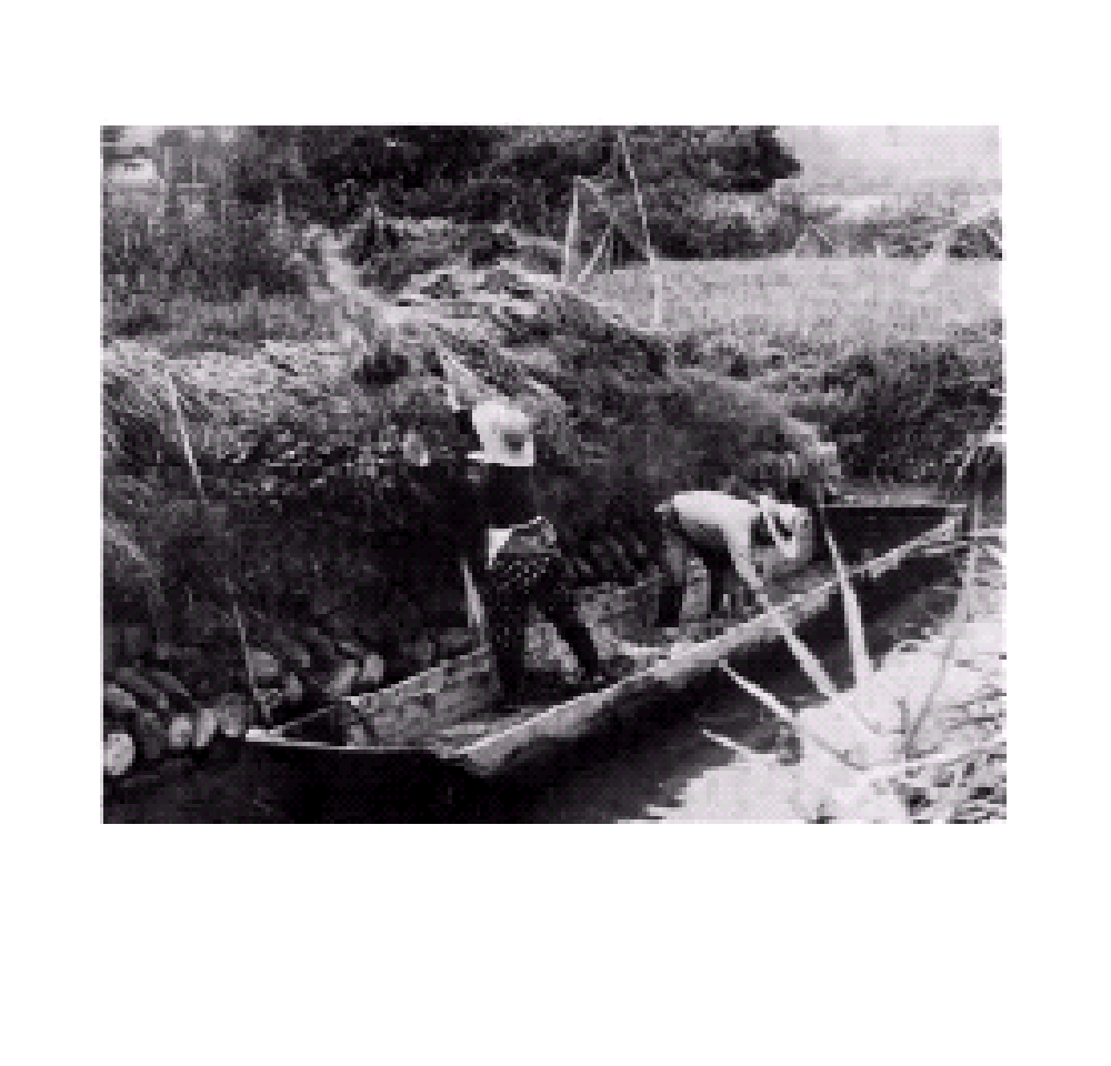 気高地域画像3（過去の画像ほか）