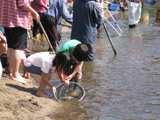 うぐい突きの画像2