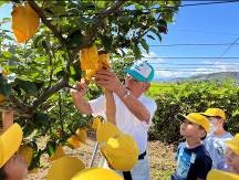 江山学園　体験学習