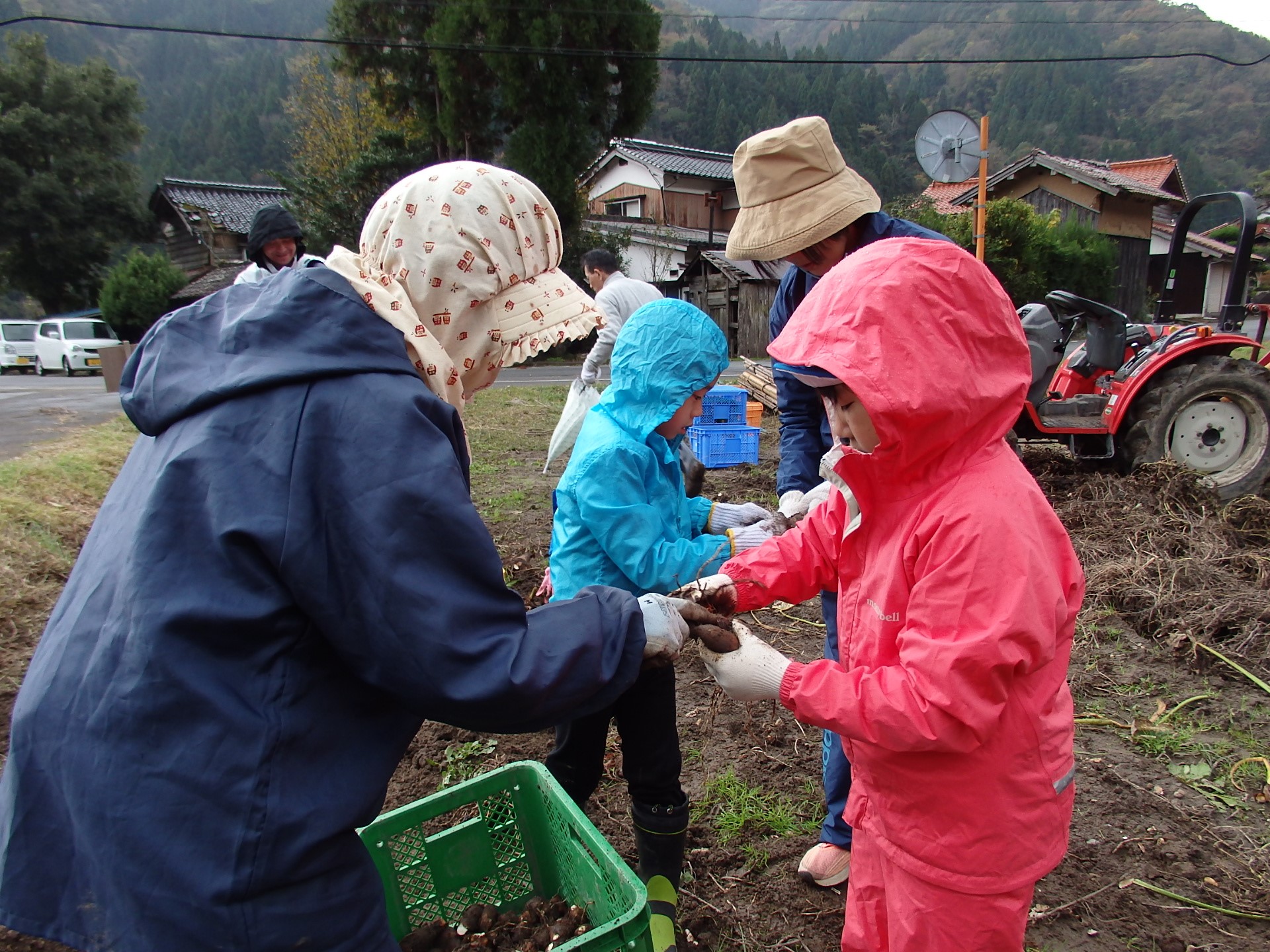 明治小　農業体験