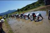 瑞穂小　田植え