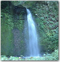 御滝山　不動山の画像