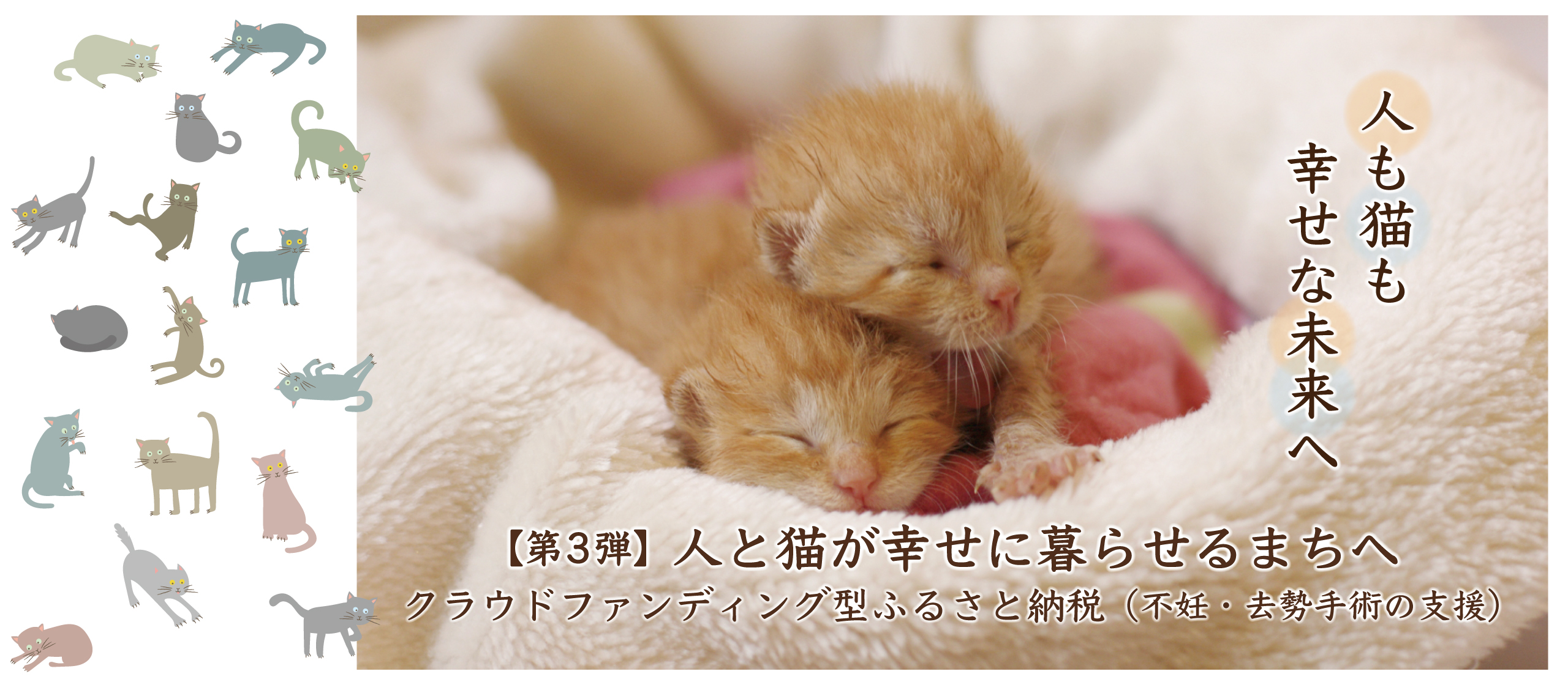 人と猫が幸せに暮らせるまちへ（第3弾）クラウドファンディング…