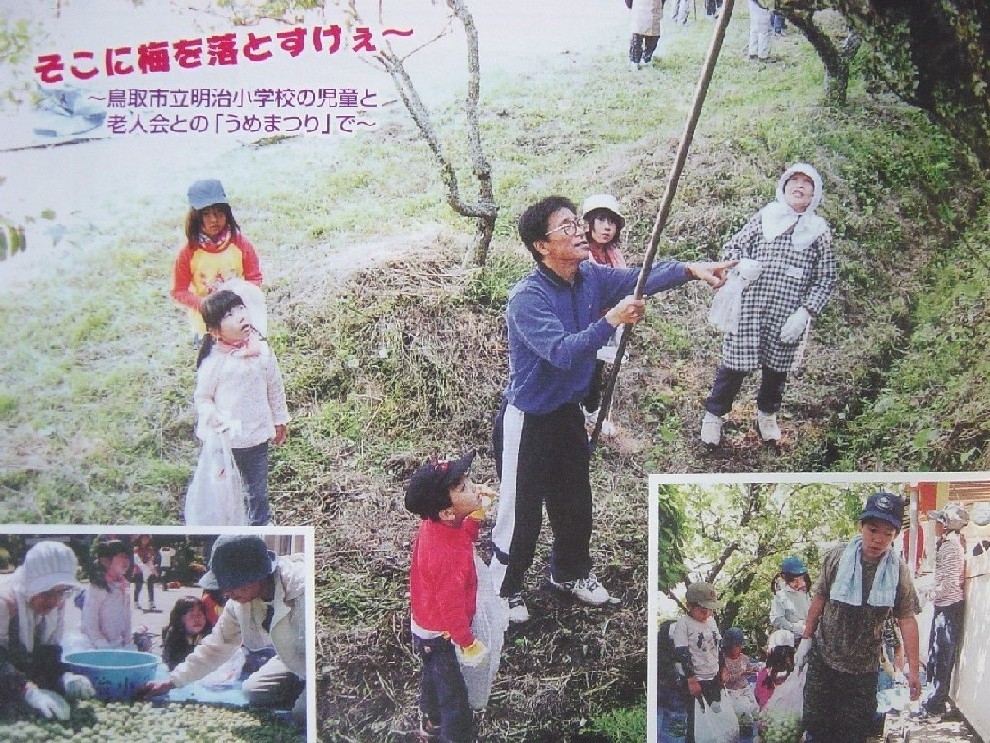 そこに梅を落とすけぇ～鳥取市立明治小学校の児童と老人会との「うめまつり」で～