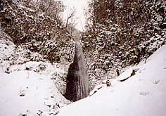 冬の雨滝
