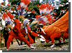 犬山神社祭礼