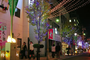 行き交う人々を魅了するメロディアンロード～新鳥取駅前地区商店街～
