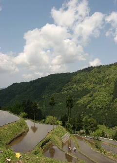 表紙写真：大自然の中で～国府町上地地区京ヶ原の棚田（関連記事：13ページ「まちかどアルバム」